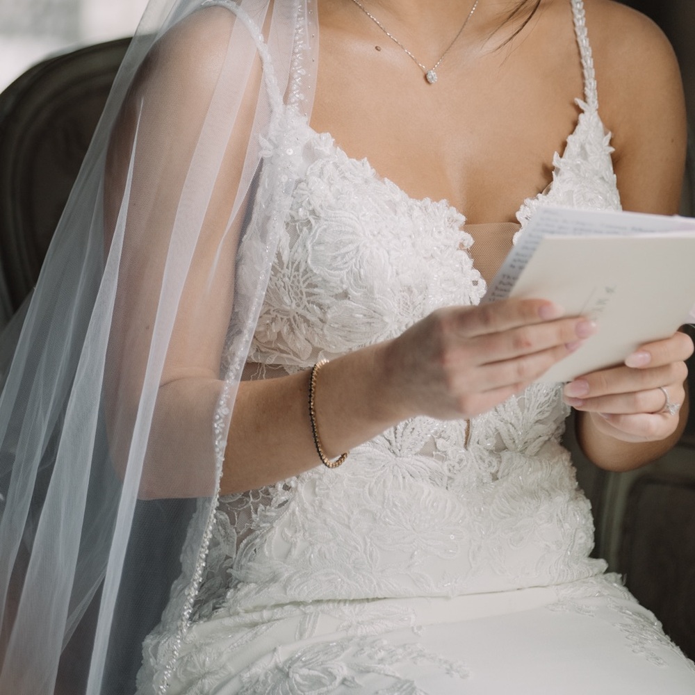 Ivory Cathedral Length Veil